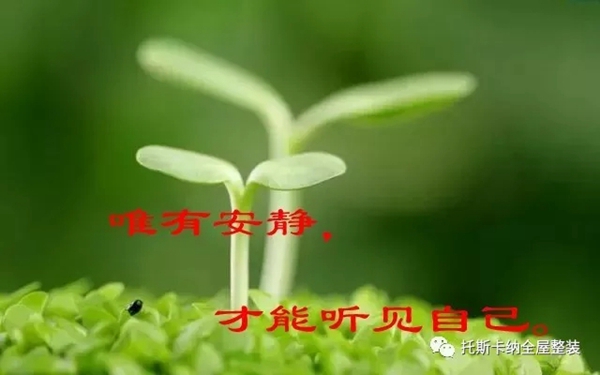 托斯卡纳：集成墙板有什么优点？风格有哪些？