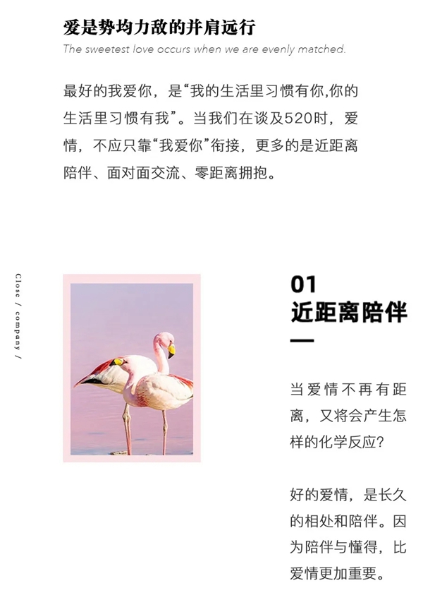 布语生活：近距离陪伴 给与最长情的陪伴