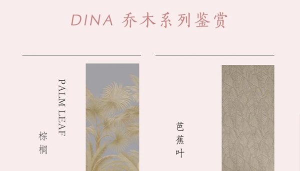 DINA斯堪迪那：美式浪漫腔调 美而不腻
