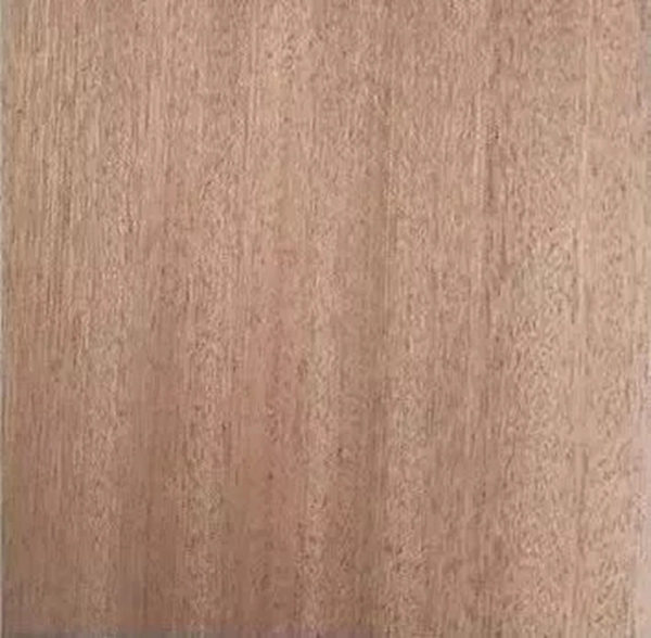 致盛木门：少木皮的分类小知识