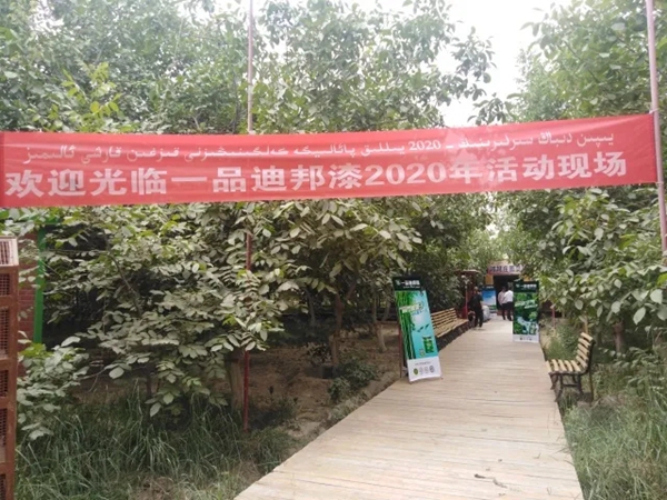 一品迪邦漆在新疆以产品推广破局
