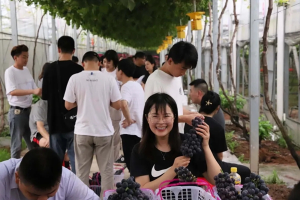 慕宸生活夏日团建 在拓展中寻找向上的力量