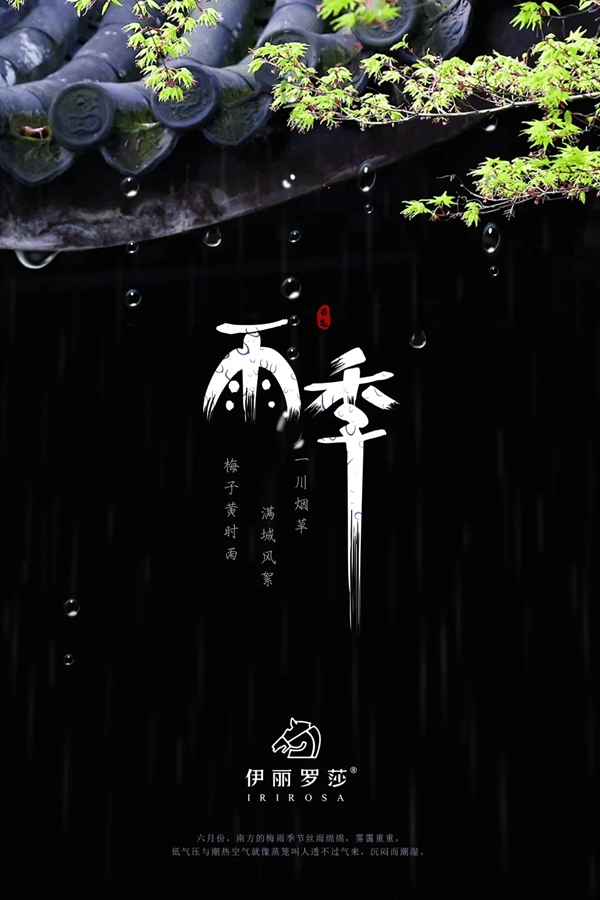伊丽罗莎墙布官网:墙面受潮发霉,家装该何去何从?