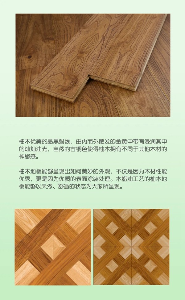 佳佳乐寻木之旅：生生不息的静谧生长