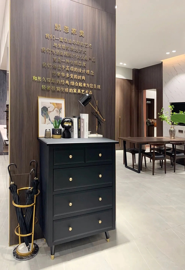 凯恩家大商崛起|长春加盟商：“了解个性需求，让产品与消费者直接对话”