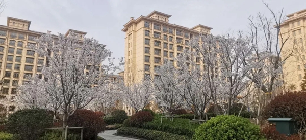 威盾门窗“五行耐火窗”全新上市