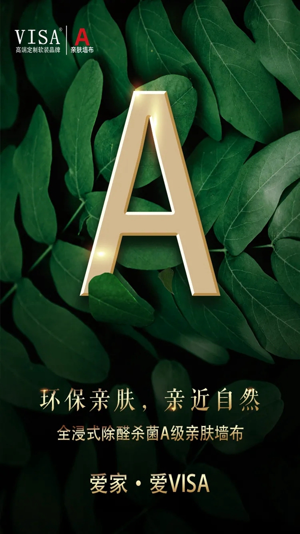 VISA高端墙布佟你一起 提前嗨购6.18