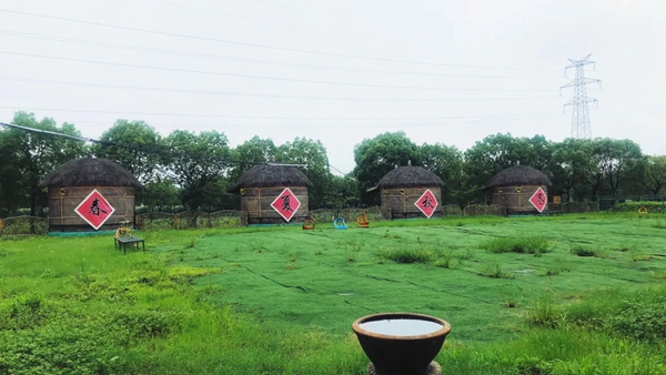 慕宸生活夏日团建 在拓展中寻找向上的力量