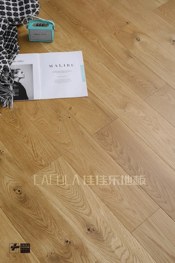 佳佳乐寻木之旅：生生不息的静谧生长