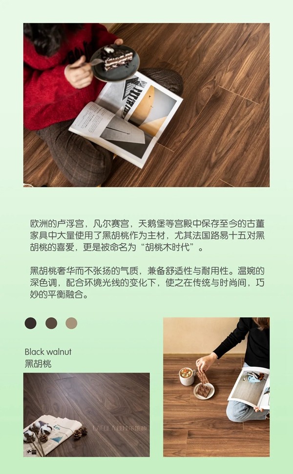 佳佳乐寻木之旅：生生不息的静谧生长