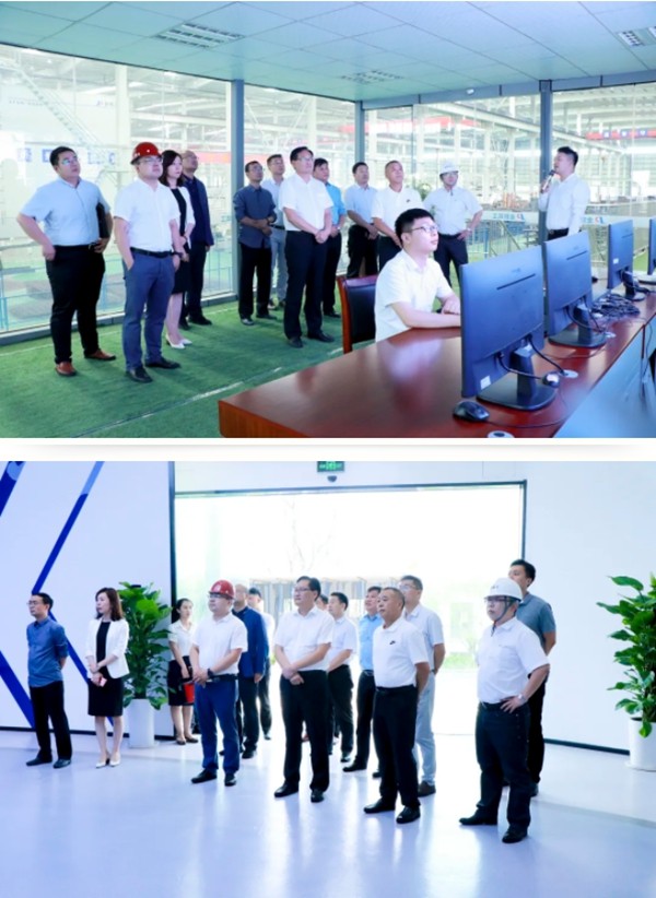 蚌埠禹会区领导一行莅临金鹏考察指导