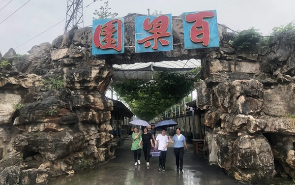 慕宸生活夏日团建 在拓展中寻找向上的力量