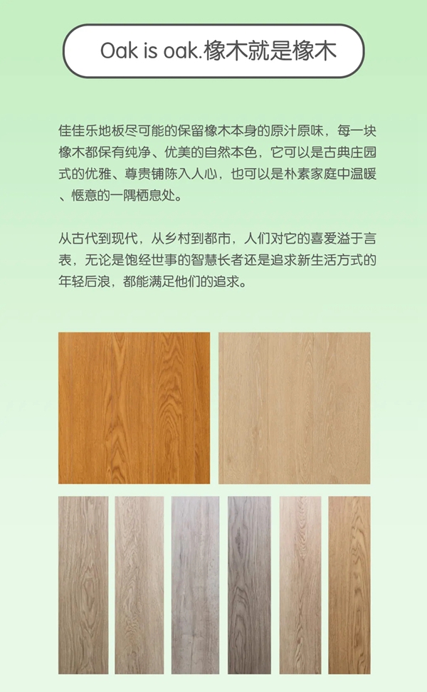 佳佳乐寻木之旅：生生不息的静谧生长