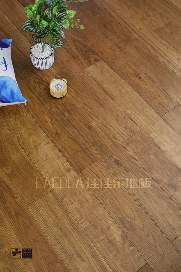 佳佳乐寻木之旅：生生不息的静谧生长