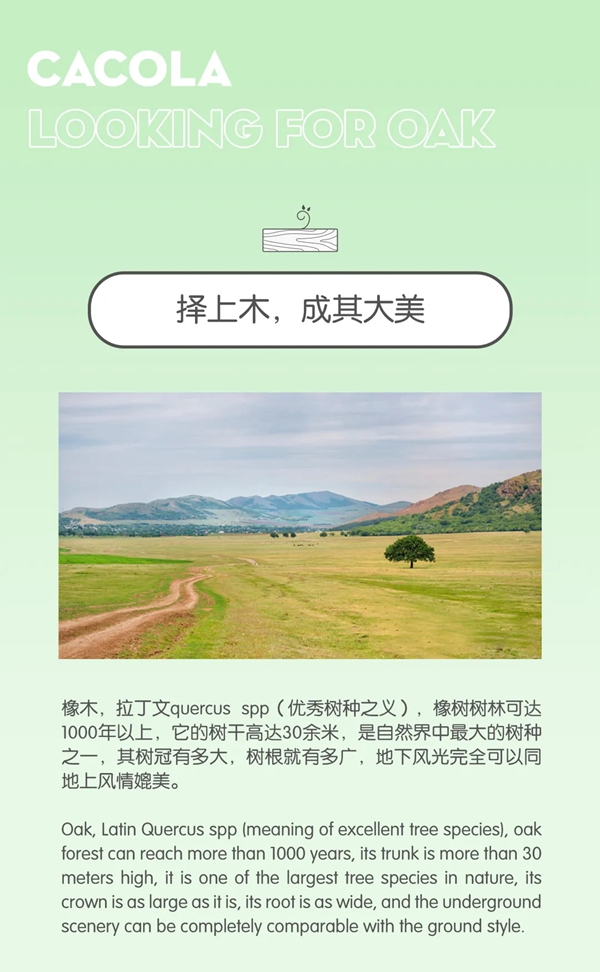 佳佳乐寻木之旅：生生不息的静谧生长