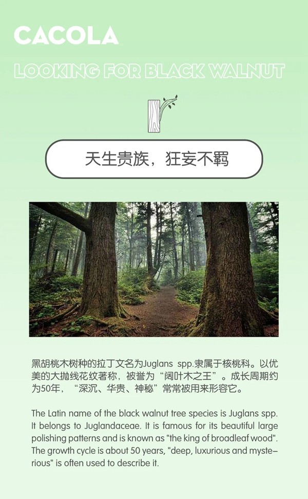 佳佳乐寻木之旅：生生不息的静谧生长