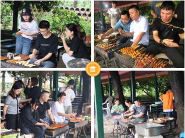 慕宸生活夏日团建 在拓展中寻找向上的力量