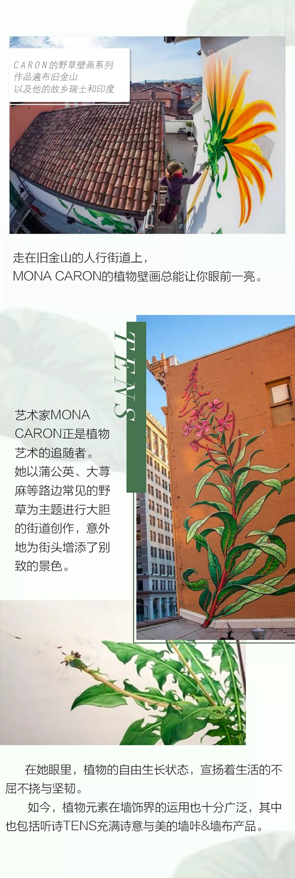 听诗TENS：植物纹饰下的墙面艺术