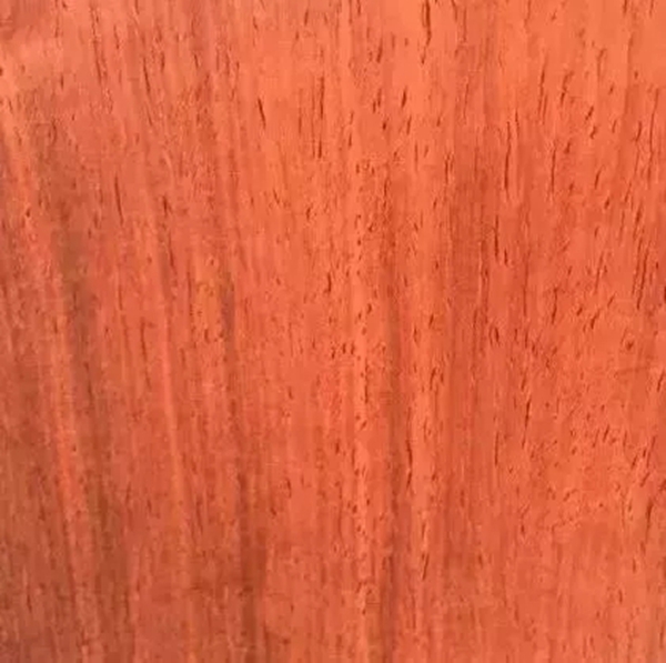 致盛木门：少木皮的分类小知识