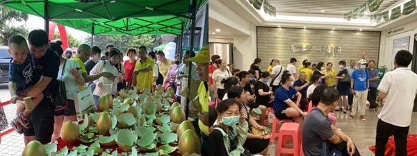 千年舟·柏菲伦绿色健康全球行海南站震撼首发