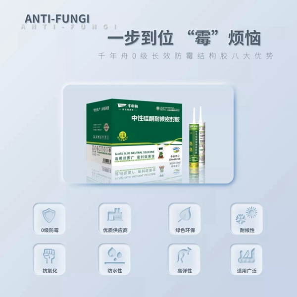 千年舟·柏菲伦新品一步防霉 生活“霉”烦恼