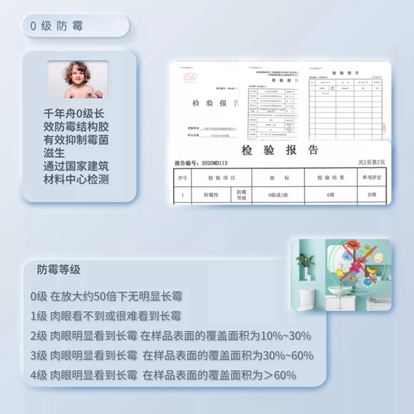 千年舟·柏菲伦新品一步防霉 生活“霉”烦恼