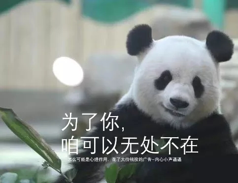 菲尼斯门窗各大交通线广告正式上线