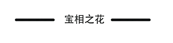 柏克利家居帝国剪影22号本欣赏