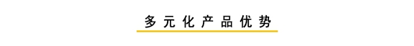 全产链·创未来丨霍尔茨邀您共享致富商机,实现财富梦想!