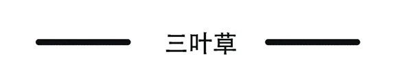 柏克利家居帝国剪影22号本欣赏