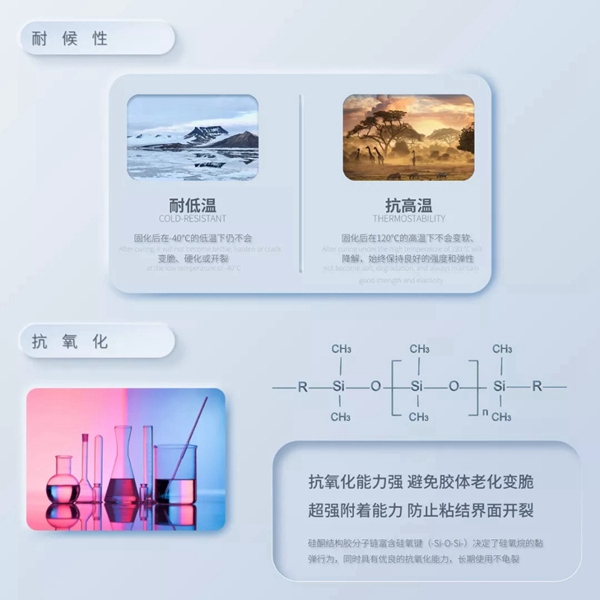 千年舟·柏菲伦新品一步防霉 生活“霉”烦恼