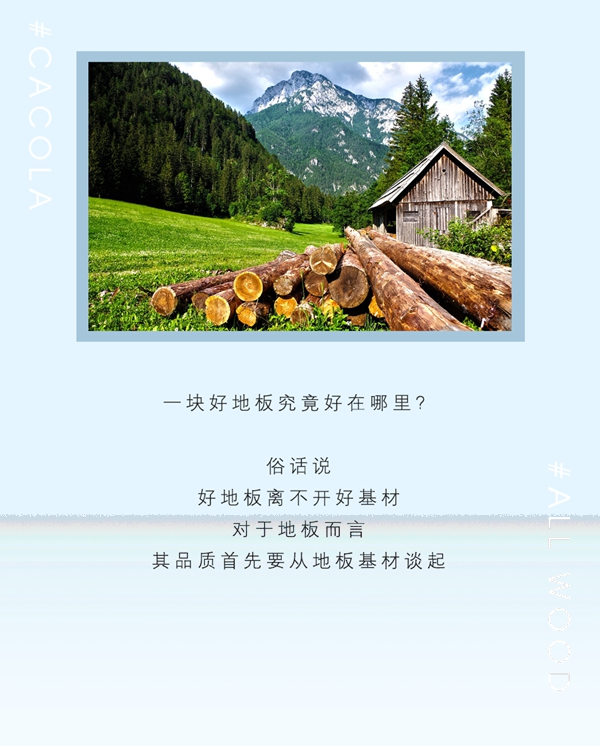 佳佳乐地板生产线探秘 如何“养成”一块好地板