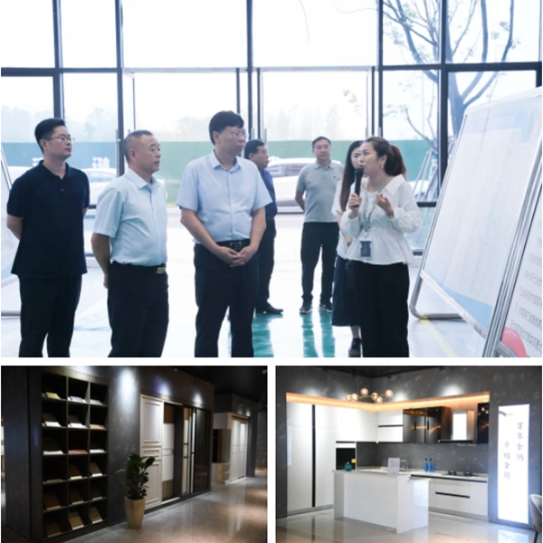 金鹏控股集团迎接商丘市睢阳区领导一行莅临调研指导