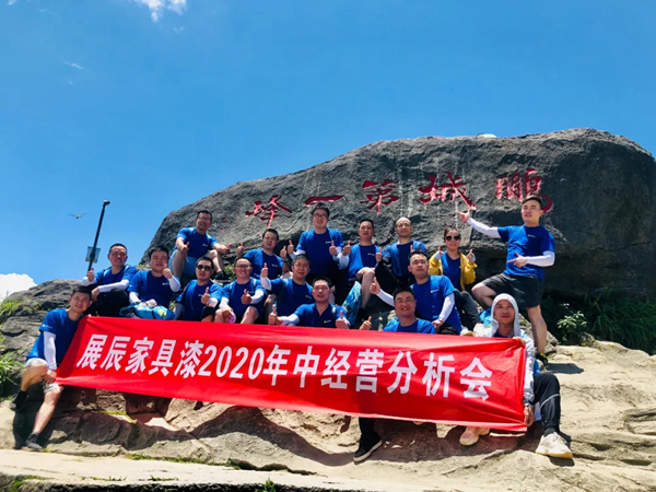 展辰新材家具漆业务2020年中经营分析会顺利召开