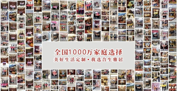 合生雅居以实力荣膺最具影响力领袖品牌