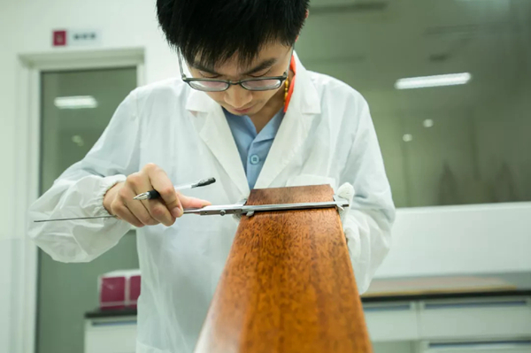 久盛地板荣获“2019年度浙江省科学技术进步奖”