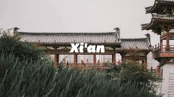 雅菲壁布2020盈商峰会西安站8月18日期待与您相遇
