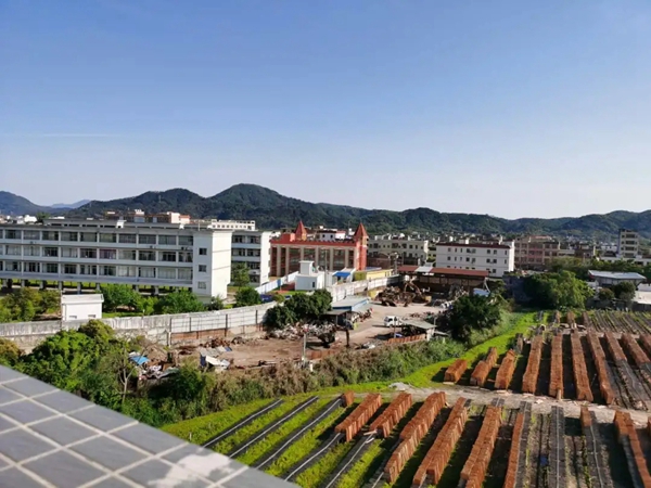 好莱客从化生产基地8月1日正式投产 好莱客从化生产基地8月1日正式投产