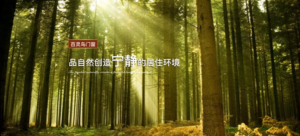 成图百灵鸟怎么样？经销商加盟的不二之选！