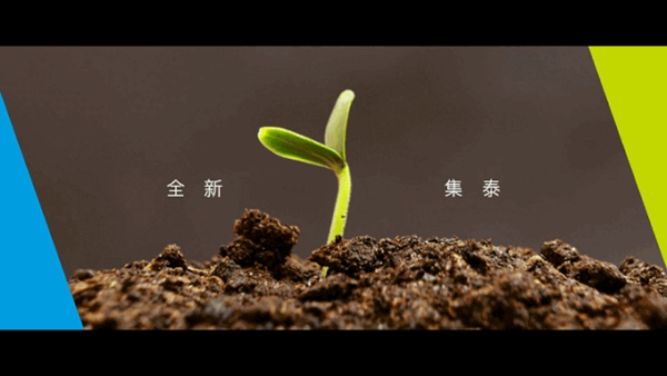 集泰股份品牌全面升级 焕新大亮点