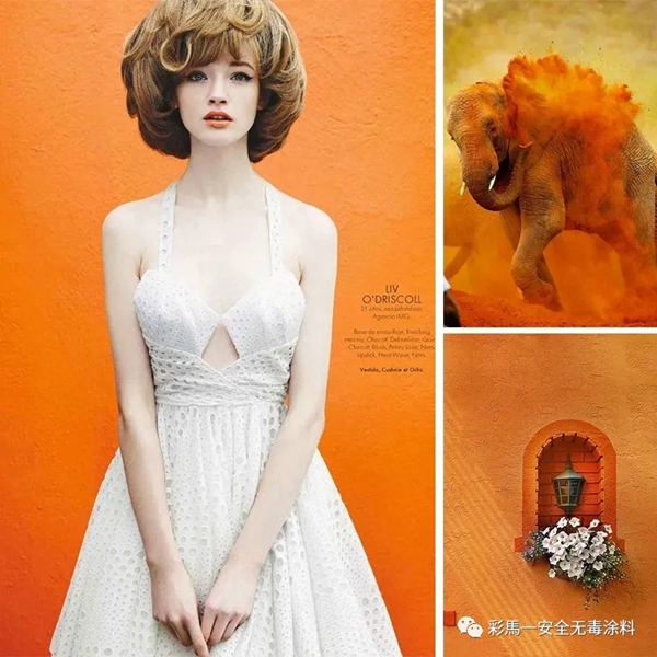 彩馬一安全无毒涂料：优雅的爱马仕橙 时尚的奢华