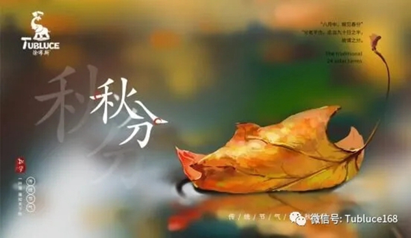 涂布斯艺术涂料带你用色彩玩转秋季生活