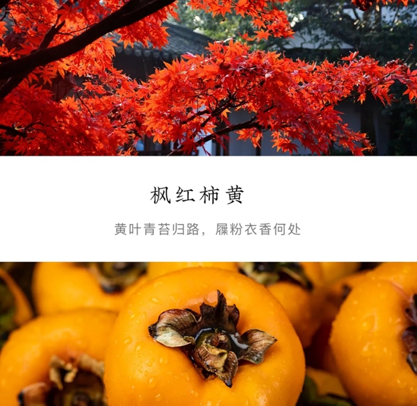 环美空间：窗帘摇曳 静赏秋日缤纷