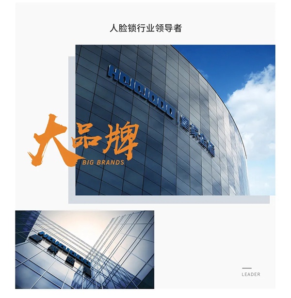 皇家金盾人脸锁成行业独角兽，年轻品牌为何成长这么快？