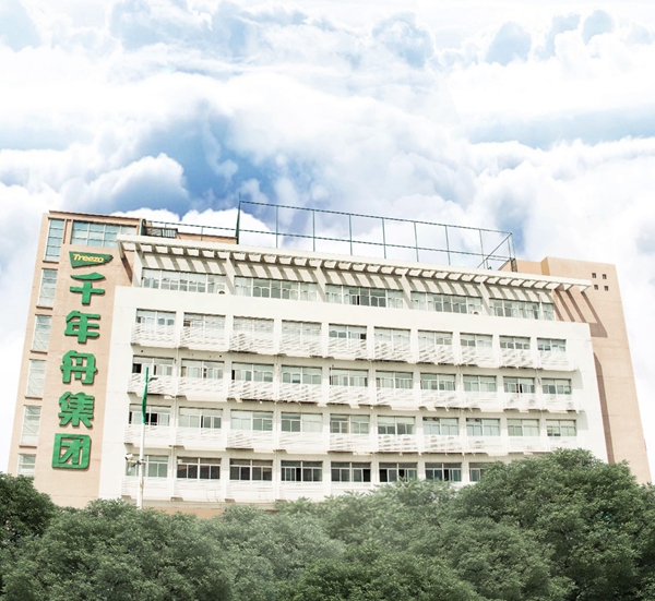 千年舟·柏菲伦好吗？千年舟·柏菲伦缔造健康家居