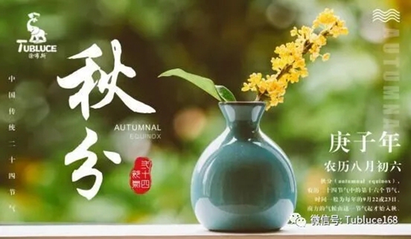 涂布斯艺术涂料带你用色彩玩转秋季生活