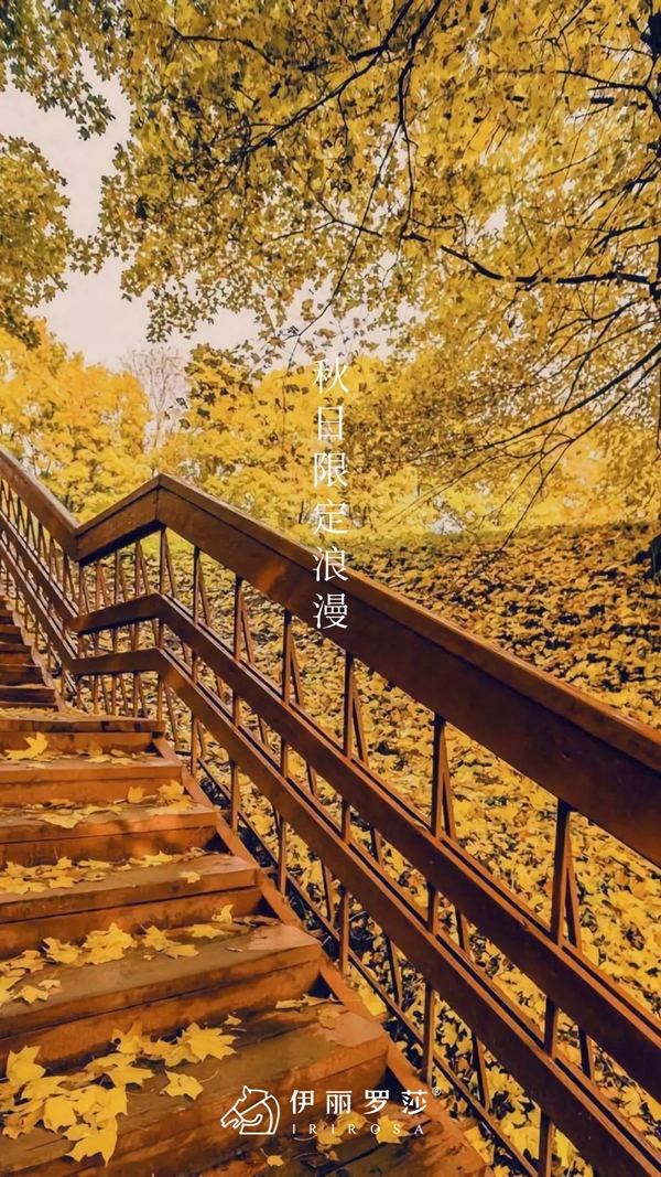 伊丽罗莎墙布：姜黄色 秋日的限定浪漫