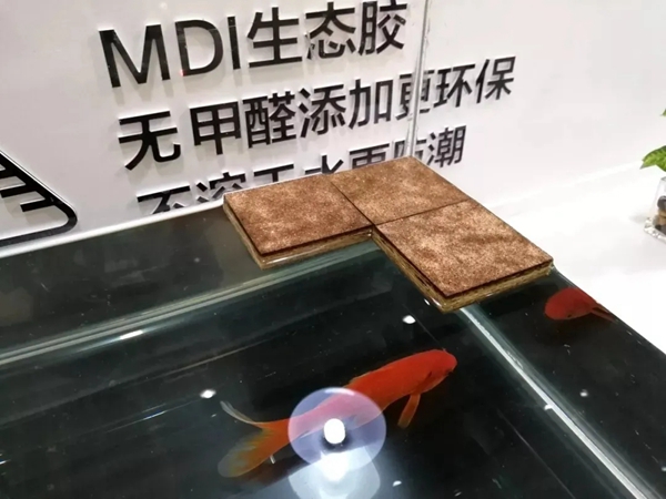 千年舟·柏菲伦:校园室内空气污染怎么办?