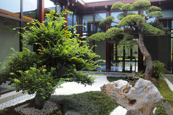 肯帝亚商学院揭牌仪式隆重举行