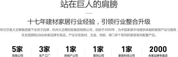 浙江有哪些品牌值得加盟？布兰莎实木全屋定制引领行业整合升级
